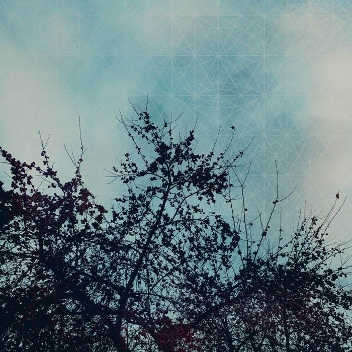 Photograph by @louisarigali, shot with Leonard + Spiro Gel + Djamma