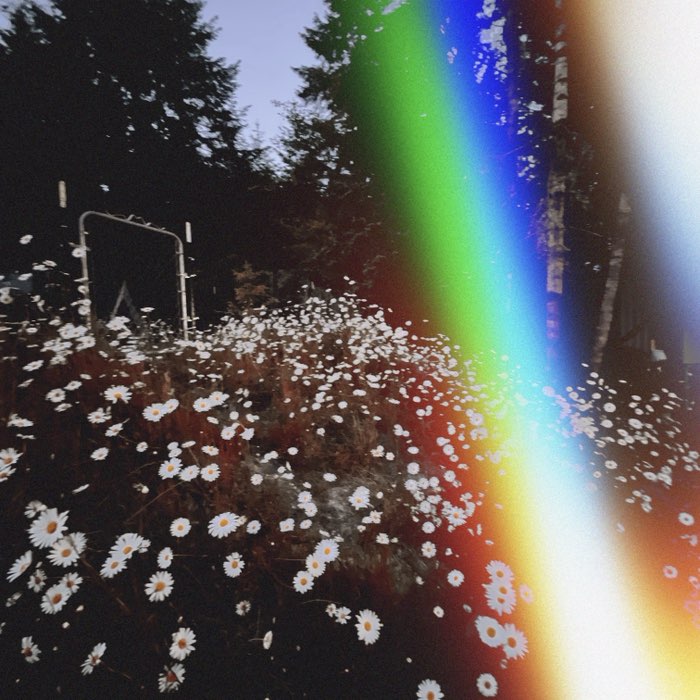 Photograph by @hipstaslacker, shot with Plymouth + Sun 55