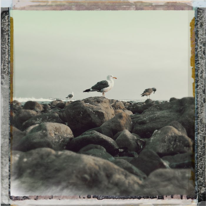 Photograph by @injuredAnimal, shot with Kutako + Type 10 Pack