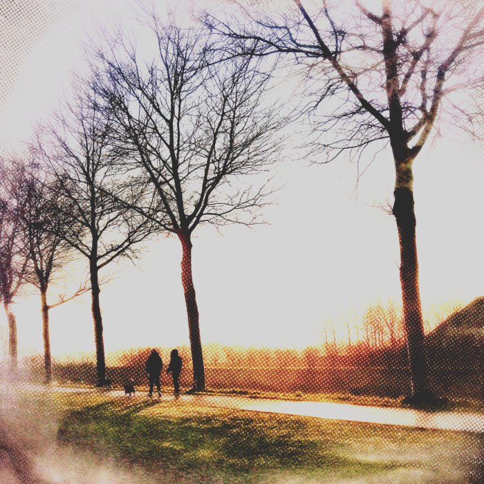 Photograph by @Pauline, shot with Frosty + Blinken