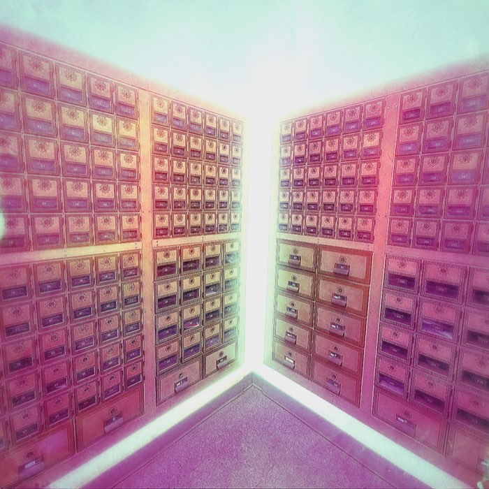 Photograph by @FreddieCrugher, shot with Funktown + Berry Pop + Disco Stu