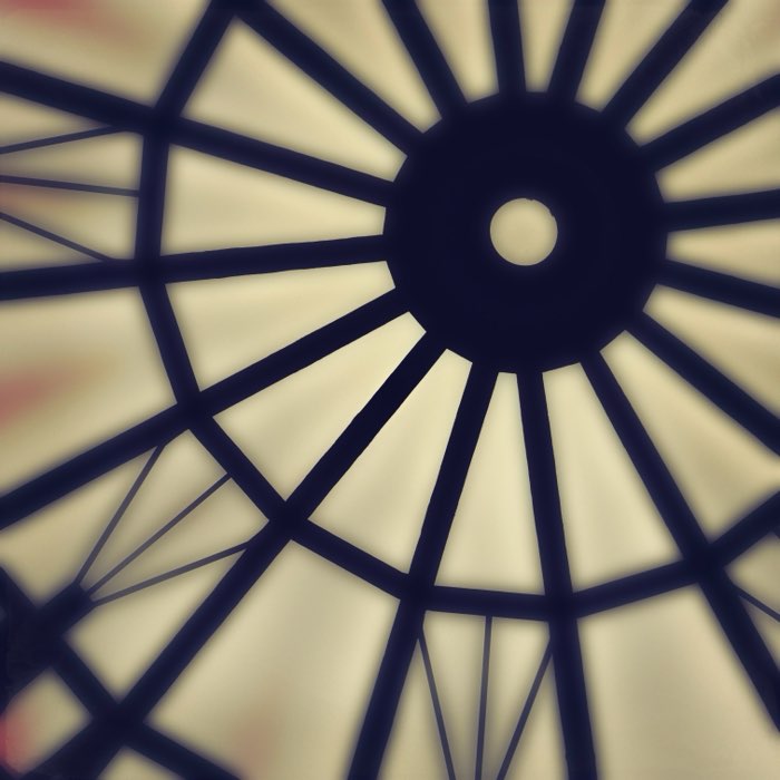 Photograph by @Bohdan74, shot with Raggiana + Jolly Rainbo 2X + Lone Star Uno