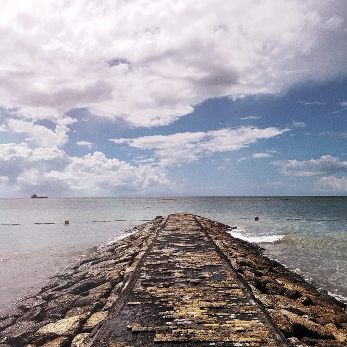 Photograph by @andrei, shot with Aphaea 12 + Aecus 6