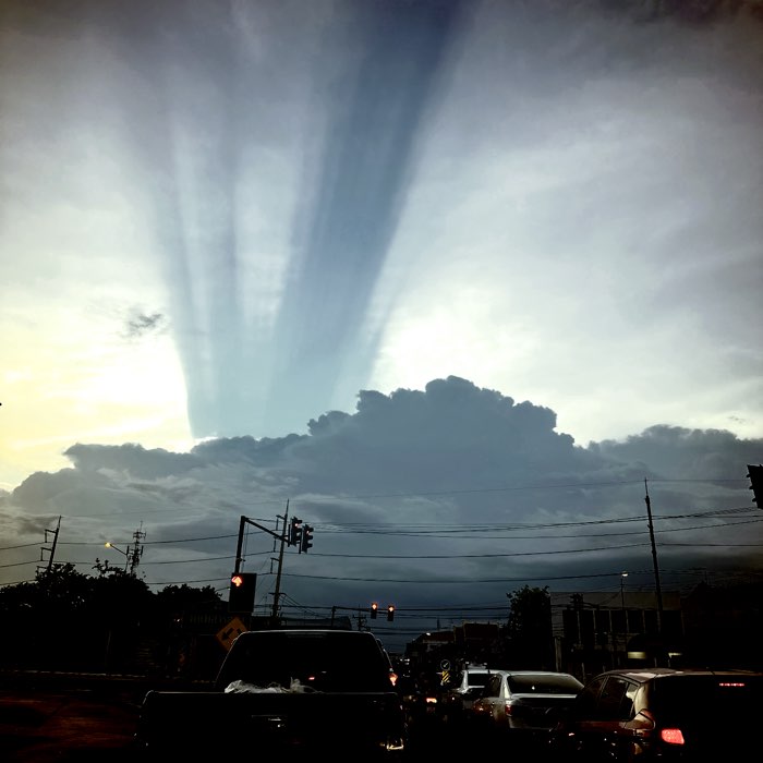 Photograph by @Wallopen9098, shot with Scotty P + Thalia