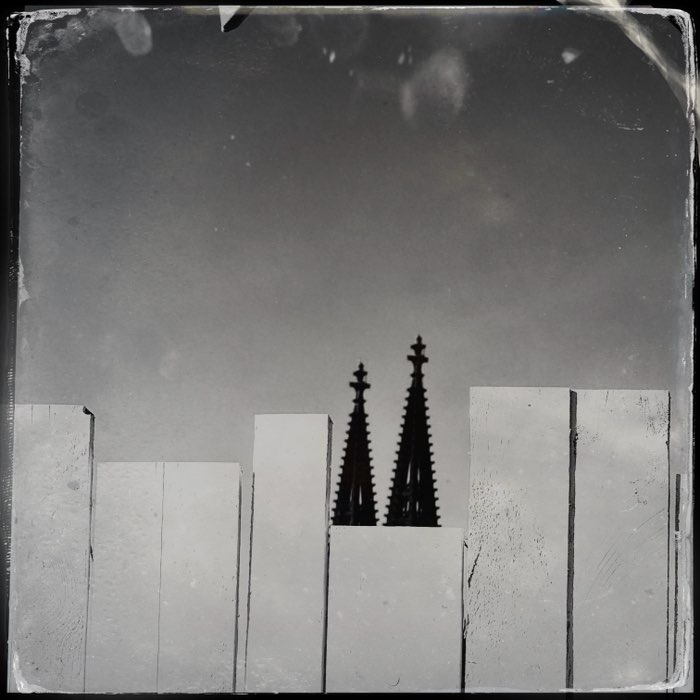 Photograph by @Shyrobot, shot with Benedict + D-Type Plate + Burst Light VI
