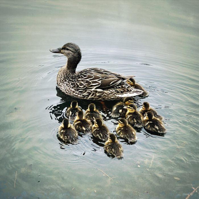 Photograph by @LydzML, shot with Loftus + Montjuïc M29 + Standard