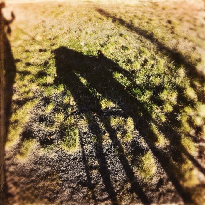 Photograph by @racin6478, shot with Anne-Marie + Mount Royal
