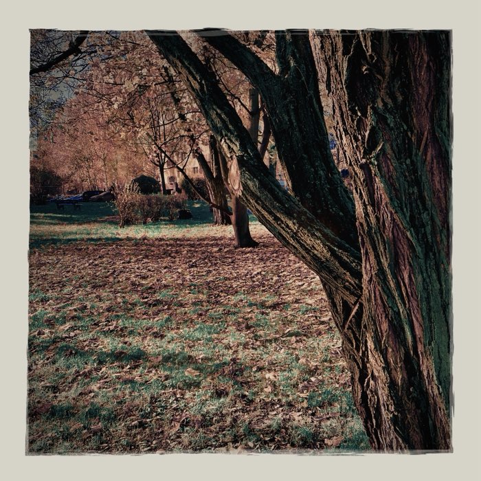 Photograph by @Andrzej, shot with Kantō HP + Odakyu