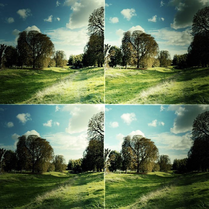 Photograph by @purplesime, shot with Vicuña CL + Leprechaun Tears Gel + RTV Shout!