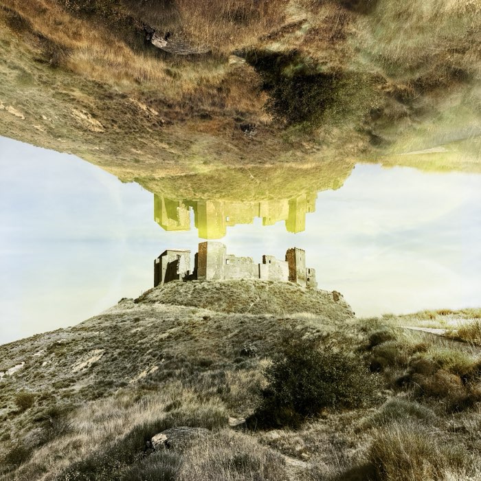 Photograph by @DavidCYY, shot with Salvador 84 + Otto