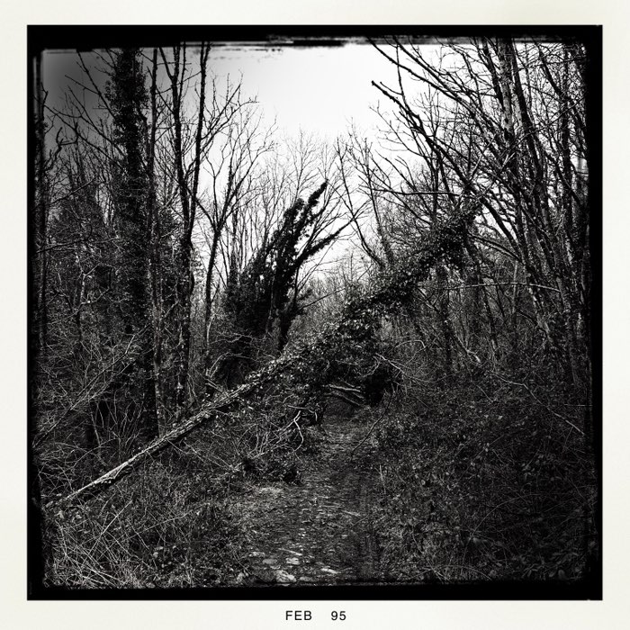 Photograph by @thedimpause, shot with G2 + Triple Crown + BlacKeys B+W
