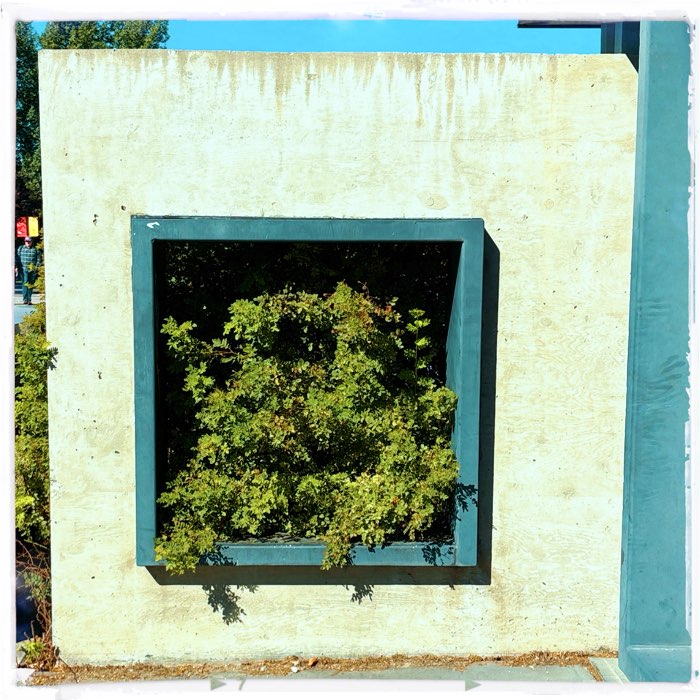 Photograph by @Photofrazzle, shot with Big Bertha + Big Easy + Apollo