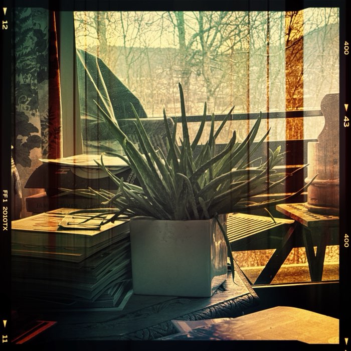 Photograph by @anvor, shot with Susie + Yuanzi 12 + Libros