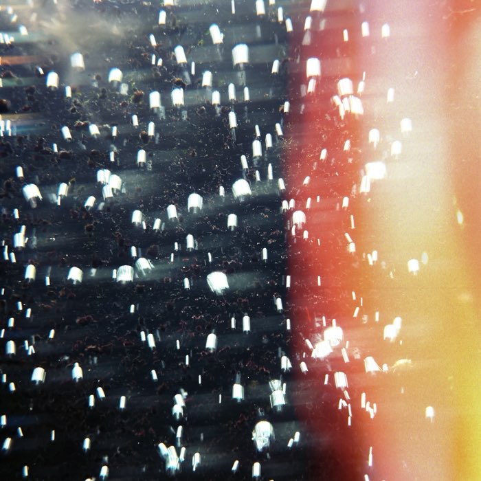 Photograph by @DianaMuller, shot with Triple Crown + Dylan + Tachman
