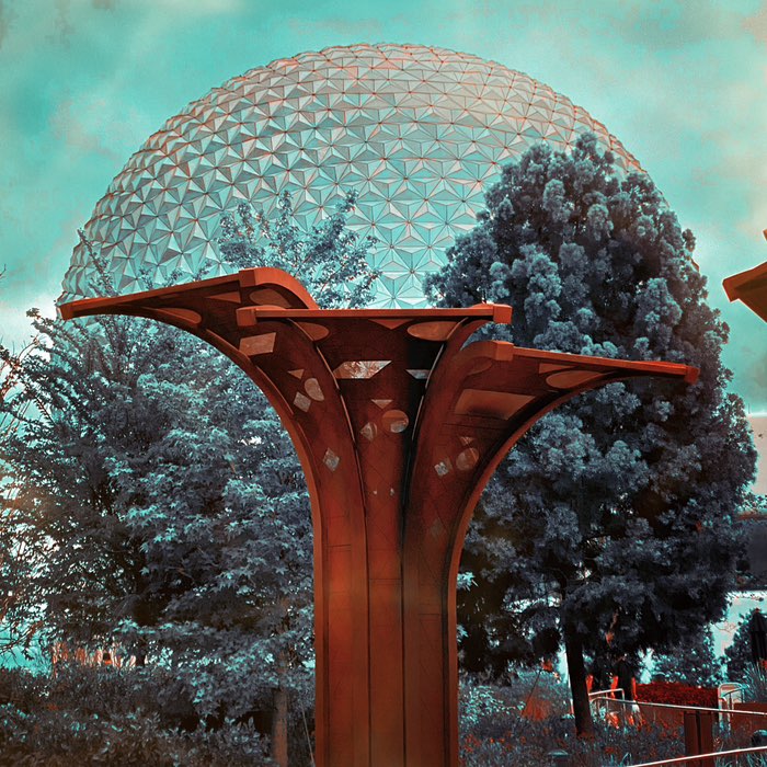 Photograph by @bbaker, shot with Indio + Dale + Juicy Orange Gel