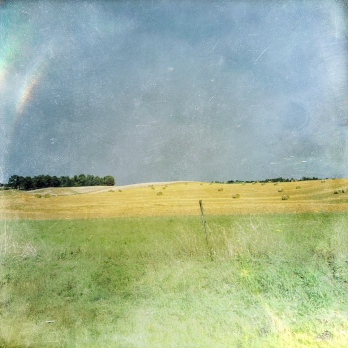 Photograph by @anvor, shot with Emma + Love 81 + Triple Crown