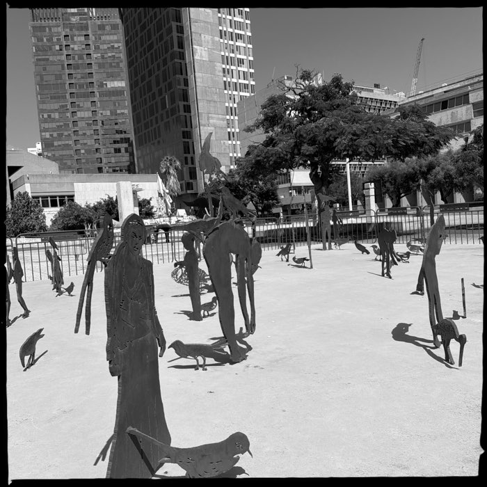 Photograph by @wrprz, shot with Wonder + US1776