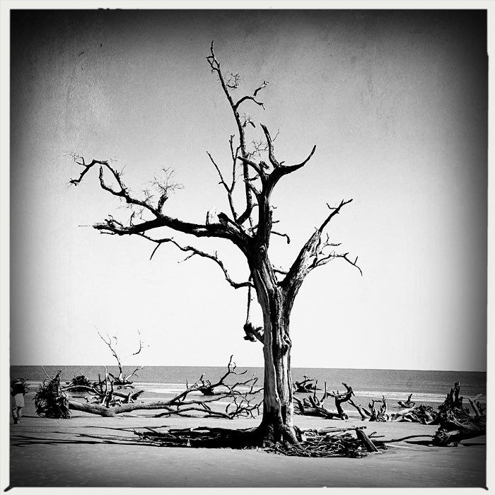 Photograph by @biiljs, shot with Flamingo 777 + Alexander 35 + AO BW