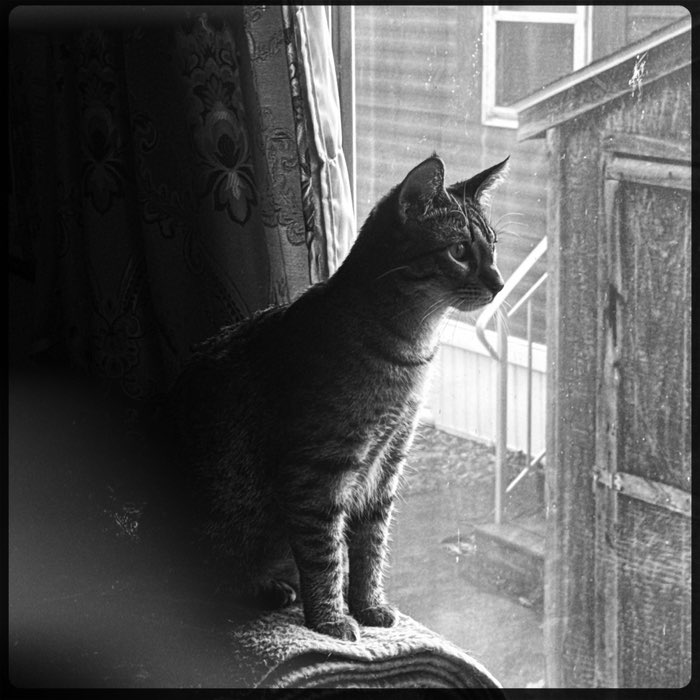 Photograph by @knucklechild, shot with Chunky + Rock BW-11