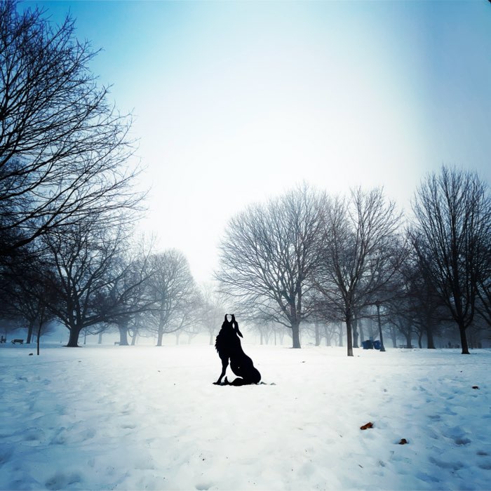 Photograph by @Robbie, shot with Vicuña CL + Triple Crown + Irom 2000