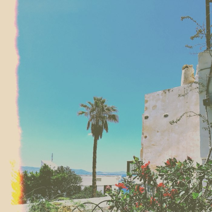 Photograph by @Kindofblue_75, shot with Brady + Poncey 96 + Lighthouse 72
