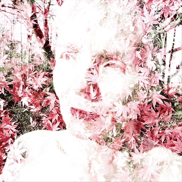 Photograph by @bindibirthmark, shot with Johannes