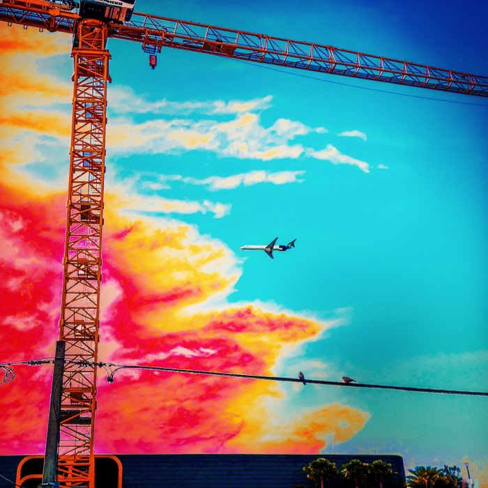 Photograph by @Kassie, shot with Jane + Blanko Freedom13