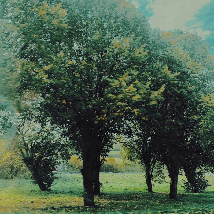 Photograph by @Sahara2691, shot with Peale + Brunswick 9
