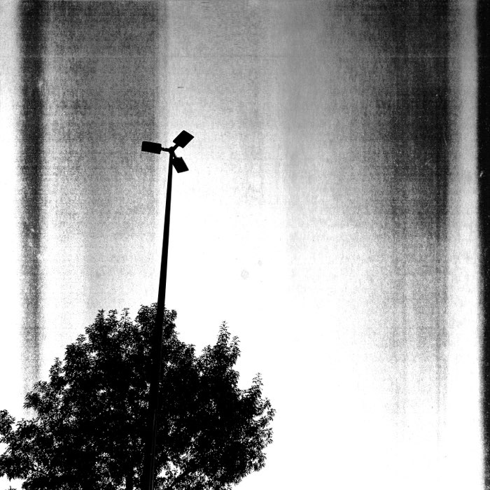 Photograph by @AnaHernandez, shot with Carlson C + Laser BW