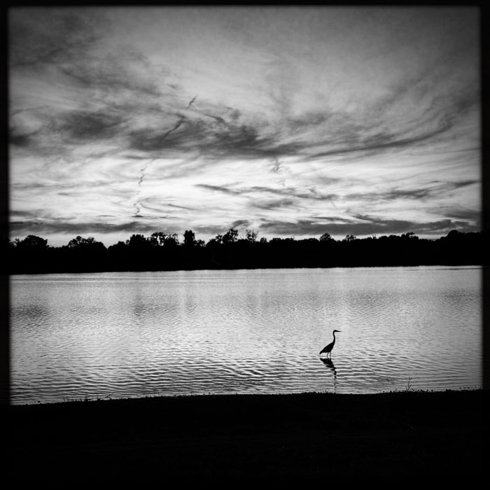 Photograph by @JonathanMartine, shot with G2 + BlacKeys Supergrain