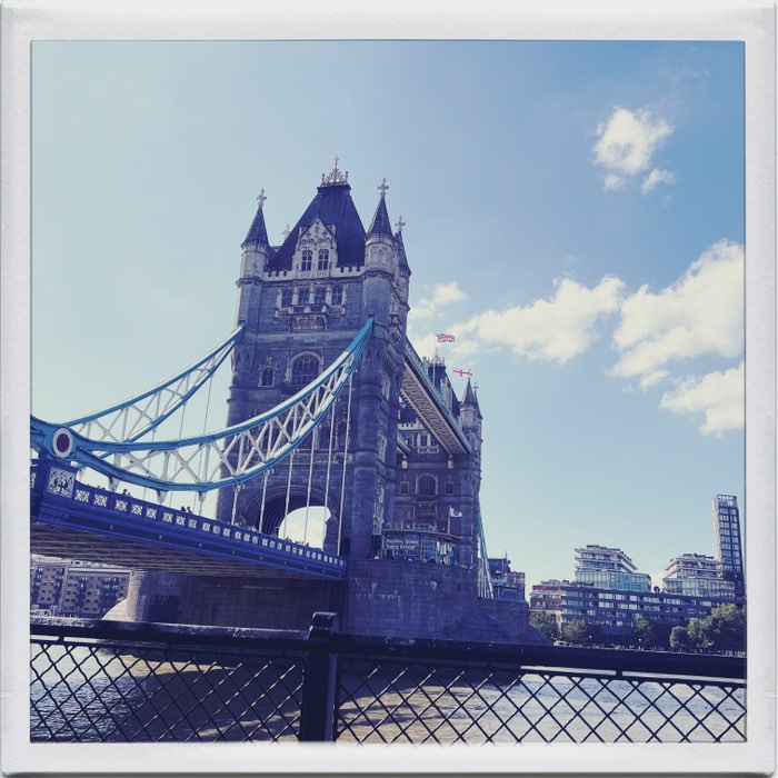 Photograph by @MonkeyStrawHat, shot with Abbot K20 + Helga Viking