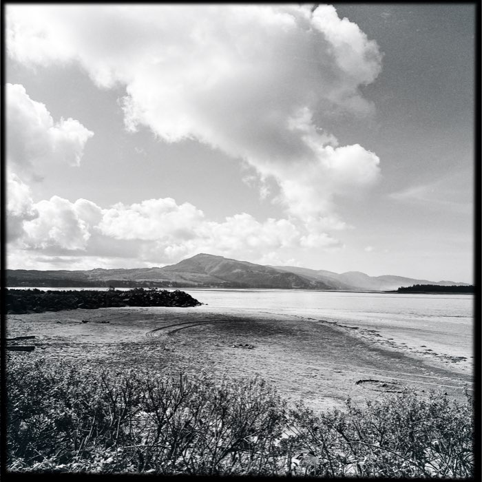 Photograph by @BrandiLokey, shot with Florence + BlacKeys 44