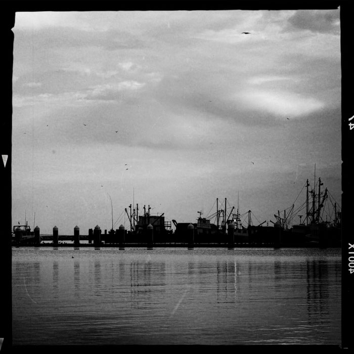 Photograph by @Alli, shot with Akira + AO DLX + Triple Crown