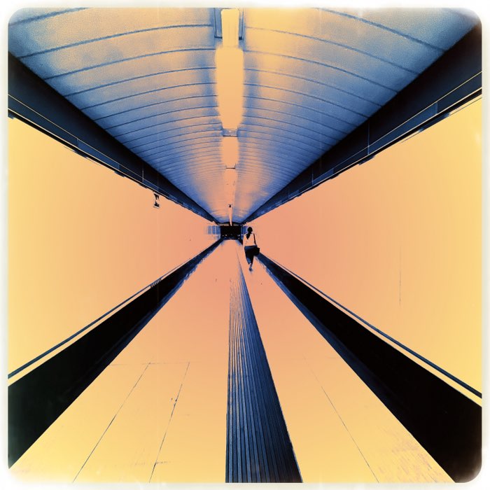 Photograph by @fosilete, shot with Maximus LXIX + Carlson C + Glow Pop