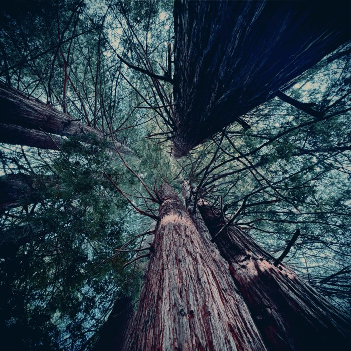 Photograph by @biiljs, shot with Hekla + Djamma