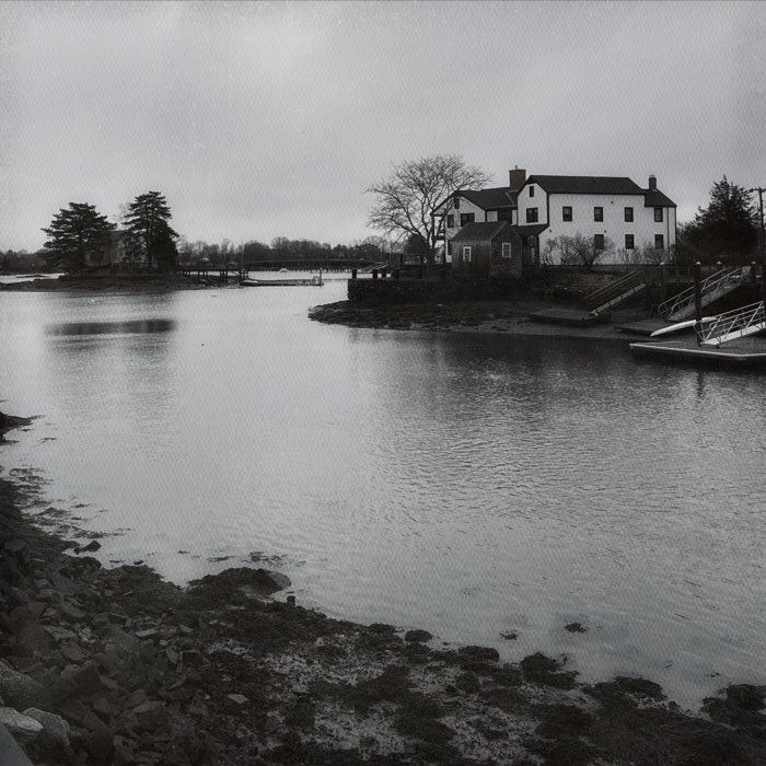 Photograph by @Julee, shot with Lumière + A-Type Plate