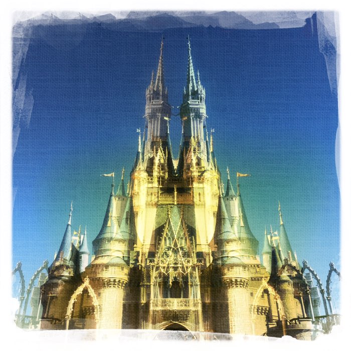 Photograph by @DeniseKiernan, shot with DreamCanvas + Salvador 84