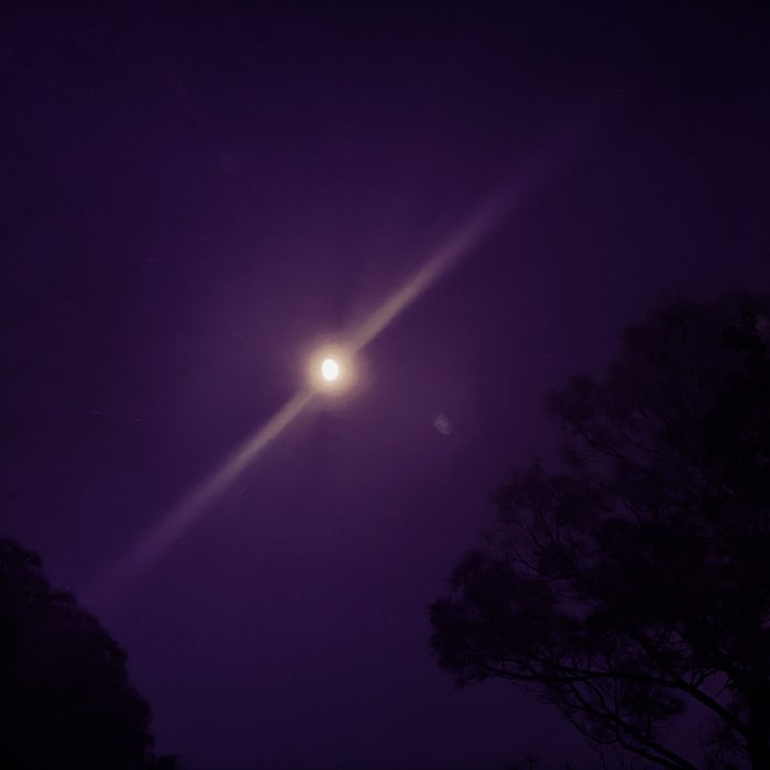 Photograph by @Conaudifonos, shot with Emma + Purple Raindrops Gel + Indus 19