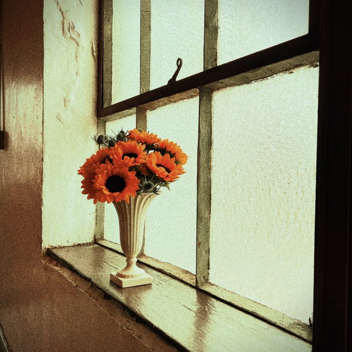 Photograph by @garfinkel, shot with Hugo + Pop Rox + Sponza 16