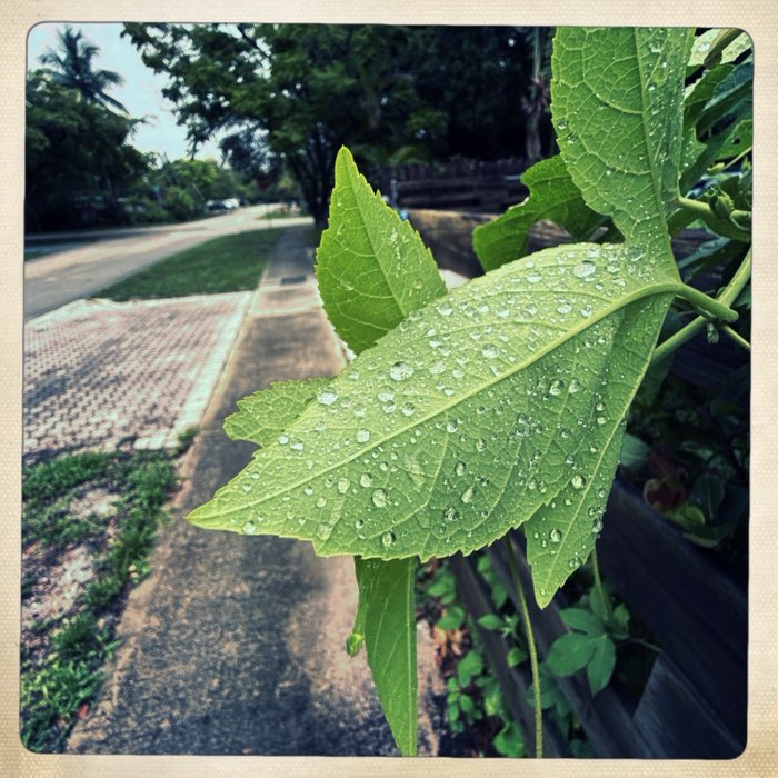 Photograph by @GaryGary, shot with Wonder + Apollo + Ina's 1969