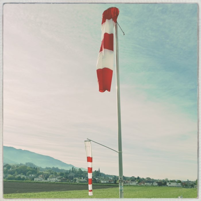 Photograph by @newG, shot with Adler 9009 + Robusta