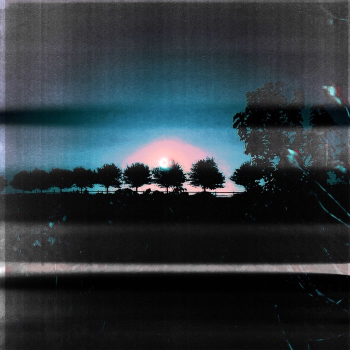 Photograph by @Lotta, shot with Carlson C + Laser CMYK