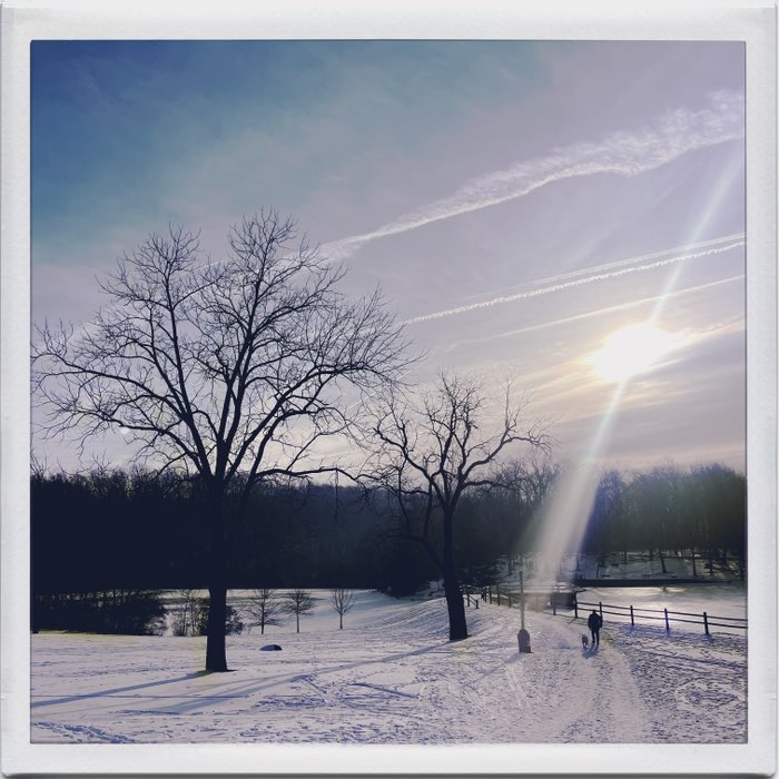 Photograph by @Brachael, shot with Franklin + Abbot K20