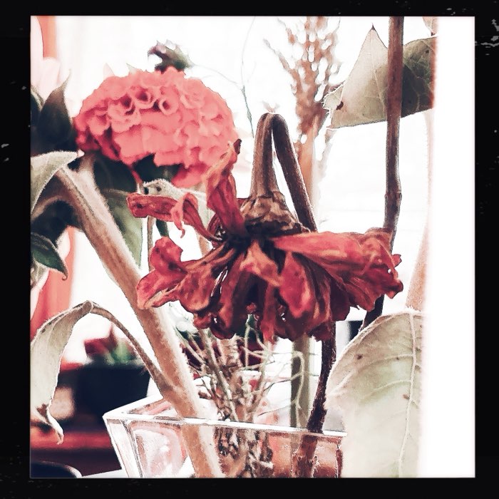 Photograph by @DreeN0055, shot with Hannah + Caballito 76 + Apollo