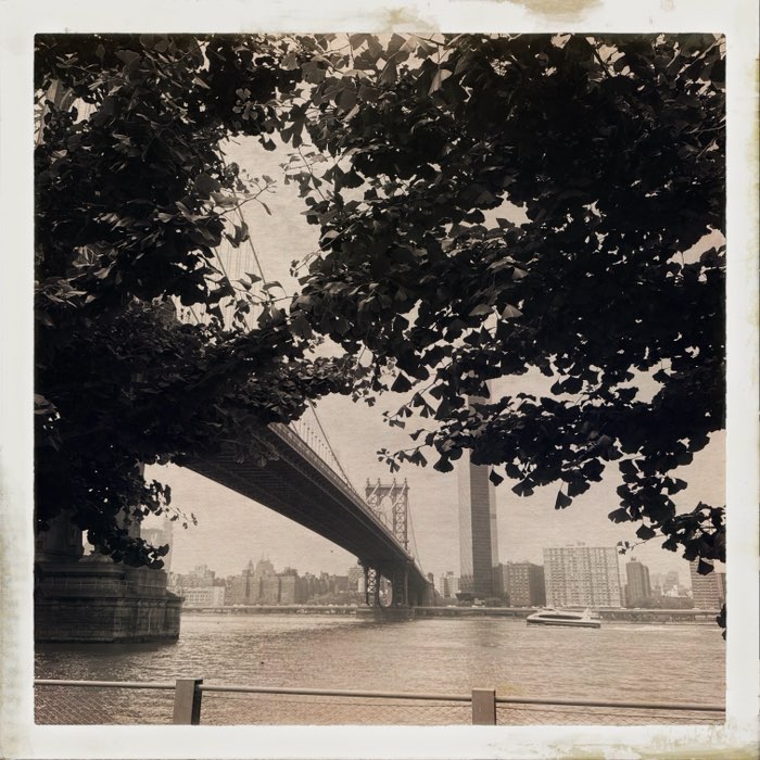 Photograph by @DViz, shot with Lumière + Uchitel 20