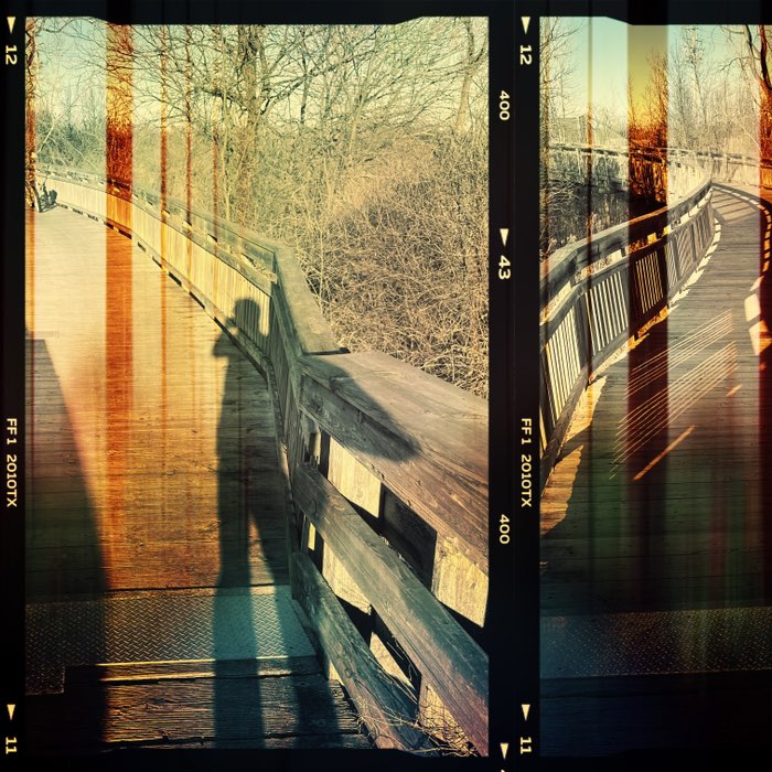 Photograph by @OptimusDom, shot with Franco + Libros