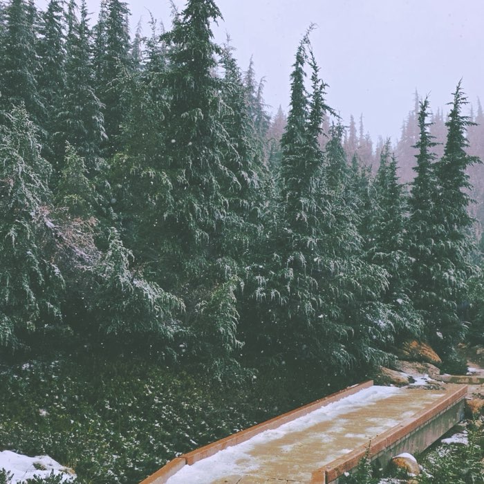 Photograph by @ddcacahuate, shot with Jack London + Telegraph