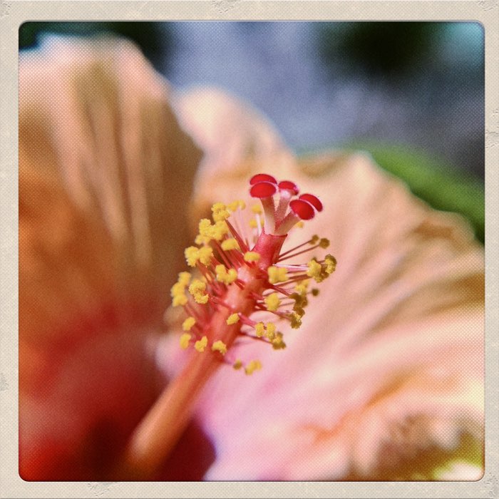 Photograph by @Tonya, shot with Elijah + Etosha 1907