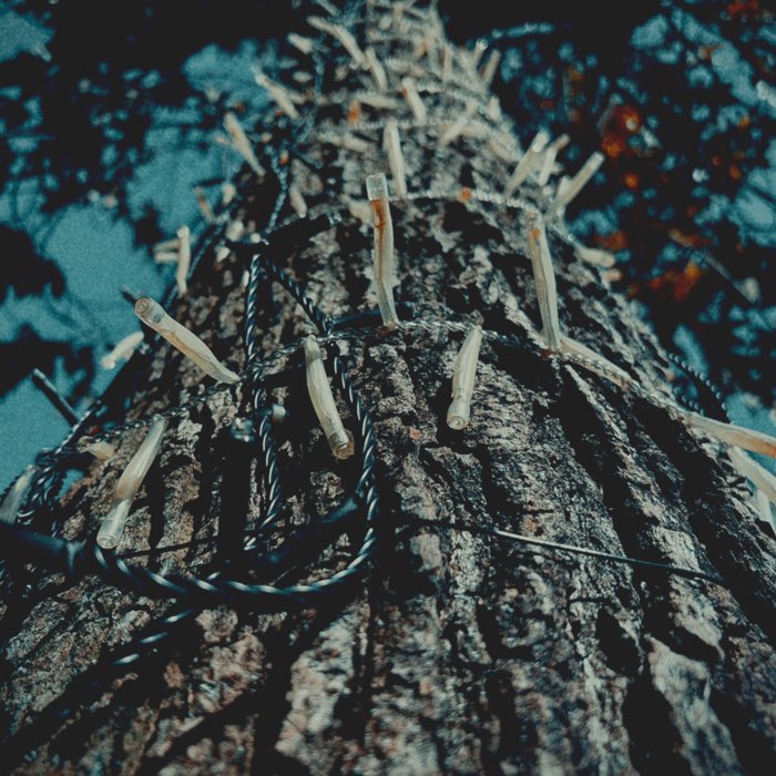Photograph by @CRB6149, shot with Hekla + Djamma