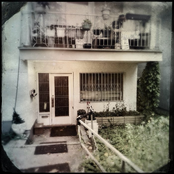 Photograph by @TanyaBelanger, shot with Anne-Marie + C-Type Plate